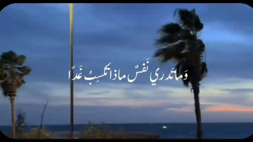 6Xo62 z7uf1mto w.jpg