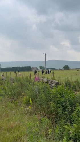 l2 RAHtB4iyS9Bgv.jpg