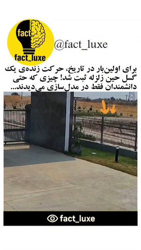 QfQOb kANtqDWrjT.jpg