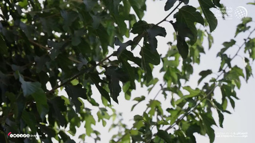 EhQtkg u06BlwWtP.jpg