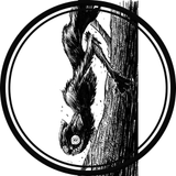 tokengato aranha