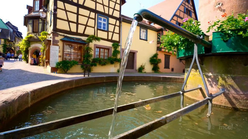 v gvKppbZT15 NLj.jpg