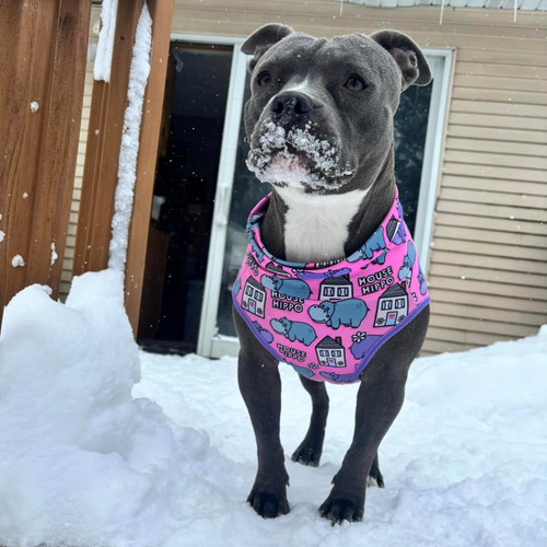 house hippo pink 4.jpg