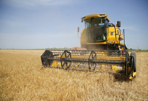 494208905 1113504404144608 2132884184100983896 n.jpg?stp=dst jpg p180x540 tt6& nc cat=106&ccb=1 7& n.jpg