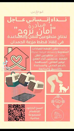 W 37MtAyn0qJQzlS.jpg