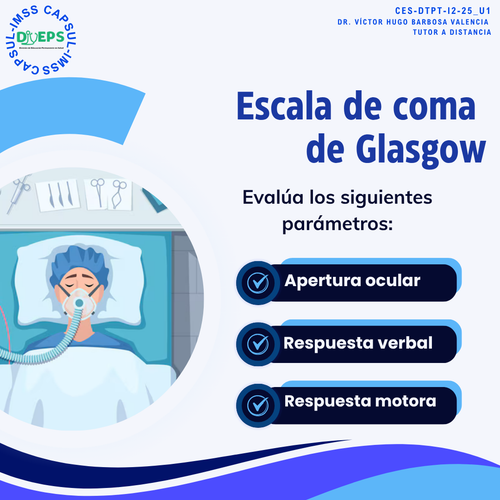 CES DTPT I2 25 1.png