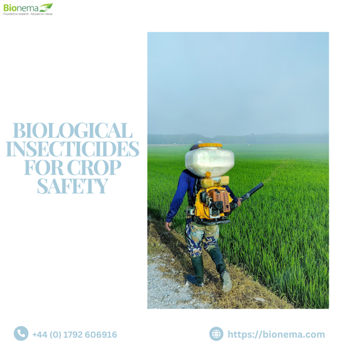 Biological Insecticides for Crop Safety – Eco-Friendly Pest Control.png