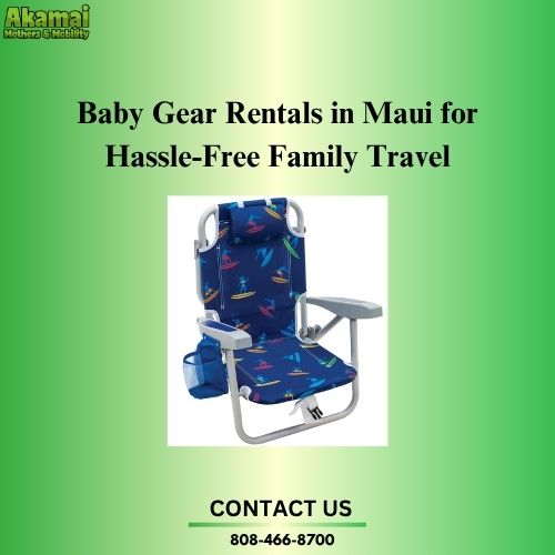 Baby Gear Rentals in Maui for Hassle Free Family Travel.jpg