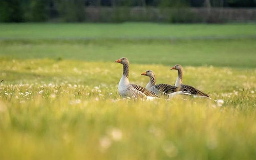 IIzMiZwDXdTYDXyG4HyCl 758 samRh7rFugxvsW1nvjjWRLVO9MxDpf0yM0bW4FWSYIlA5qdtoPs2Rozw WupEUqnQKxd9CxV8n.jpg