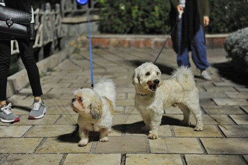 ChBoQv6d6EcYgvUq2G69IUw6jdCZBX GSWMgFJ 8yIrucmnmgxHsg8omFfU 0c8M0EVa37CXjDBukvdIfY cGBorfT4EgX K1Om6.jpg