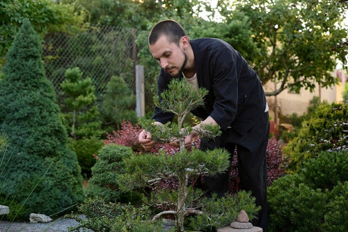 Lawn Fertilization.jpg