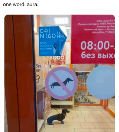 Screenshot 2025 06 11 at 9.11.26 AM.png