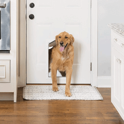 How to Choose the Best Built-In Doggie Door for Your Home.gif