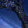 blossom blooms stellar thumb.png