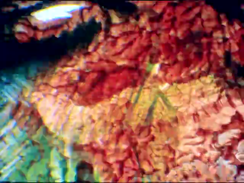 vlcsnap 2025 06 11 13h13m08s434.png