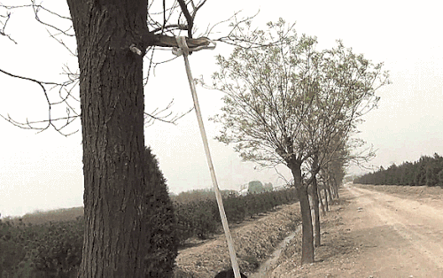 bdsmlr 20984 ooUqxdoM1V.gif