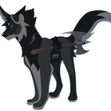 Untitled1572 20250611105504