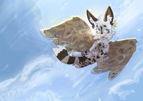 Daffodil bg 2 for ensiifera.jpg