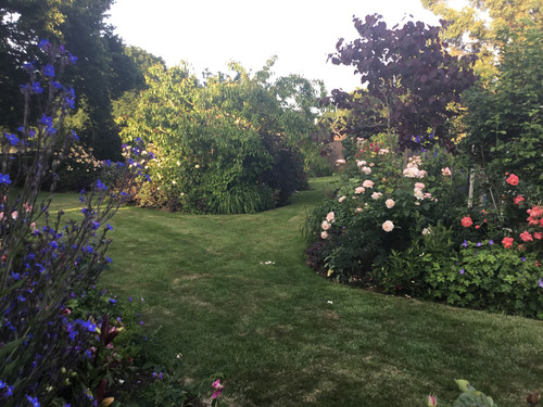 2DCAED14 AAC5 4371 AC55 312E59199658.jpg