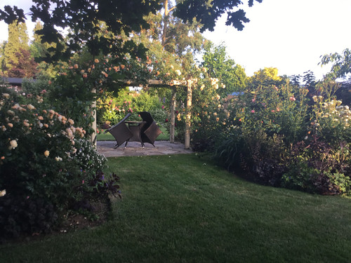 09B6DD85 95E8 4E05 B176 8AC641F1E031.jpg