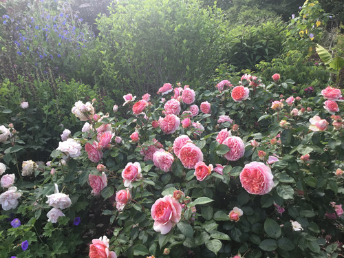 EB8D674E 8CA3 457E 86ED 7558527B975D.jpg