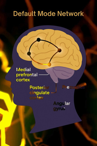 bHtQlrZhT9Z k9Sp.jpg