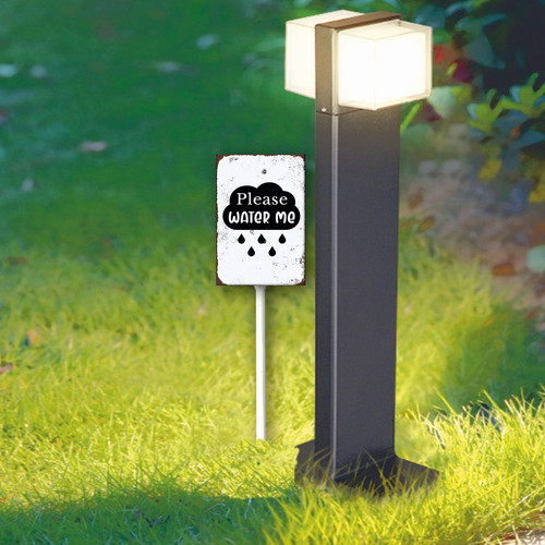 please water me 4.jpg