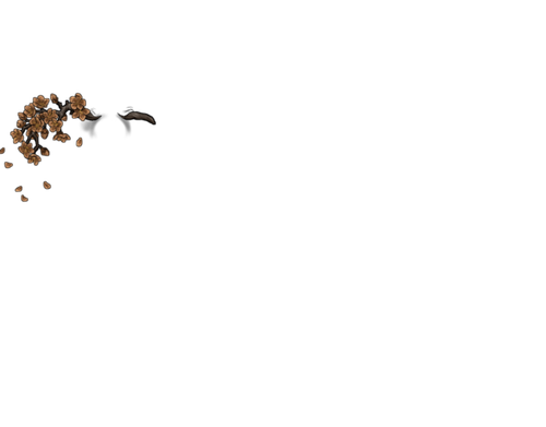 branch kind latte.png