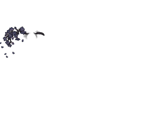 branch kind constellation.png