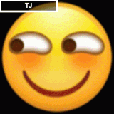 encrypted files 1749557300598.gif