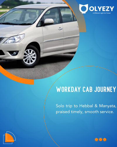 This evening, a solo traveler booked our Local Cab for business meetings.png