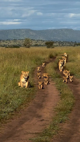 7eI5Yipj igWw5 R.jpg