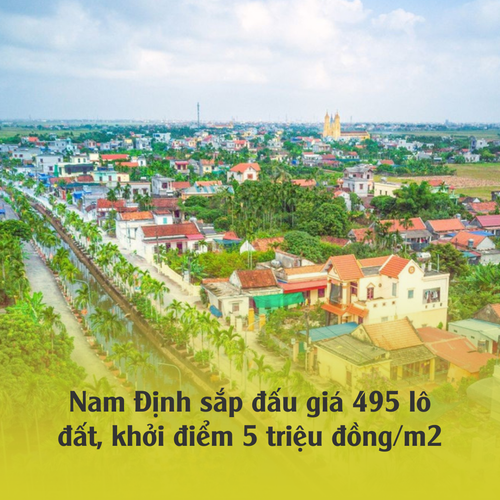 Đấu giá lô đất.png