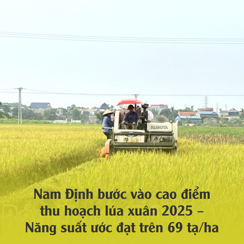 Thu hoạch.png