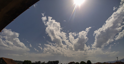 IMG 20250610 153231.jpg