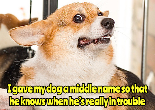 9844FAEC E106 4862 B2C4 96C12C1B7F3F.jpg