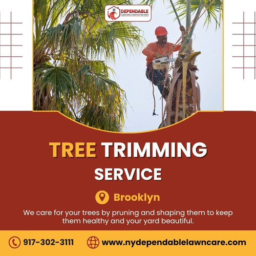 Tree Trimming Service in Brooklyn.jpg