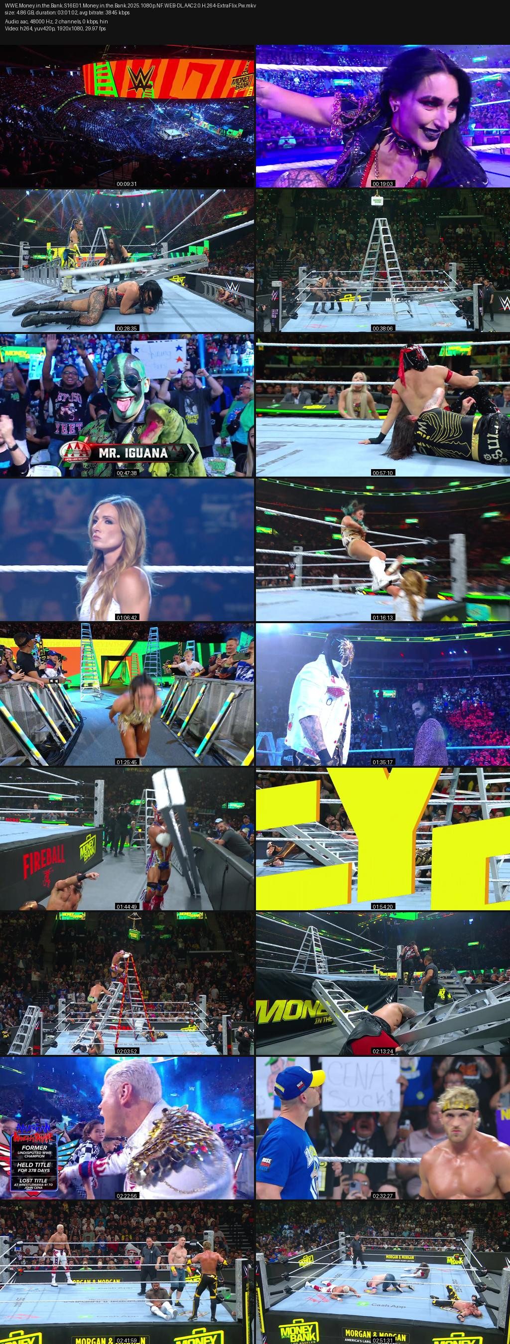 WWE Money in the Bank (2016) Screenshot