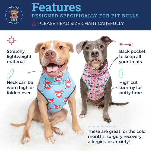 Copy of Features.png