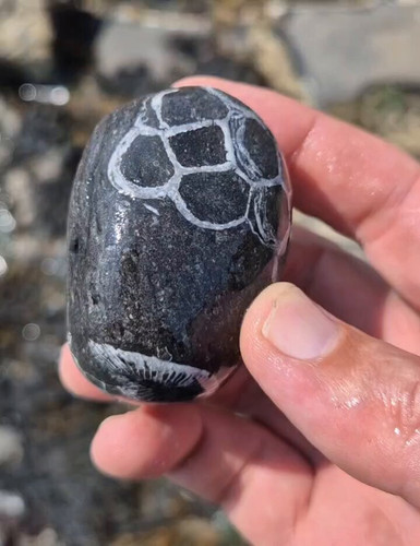 ihMc3 qXHJl2zgOO.jpg