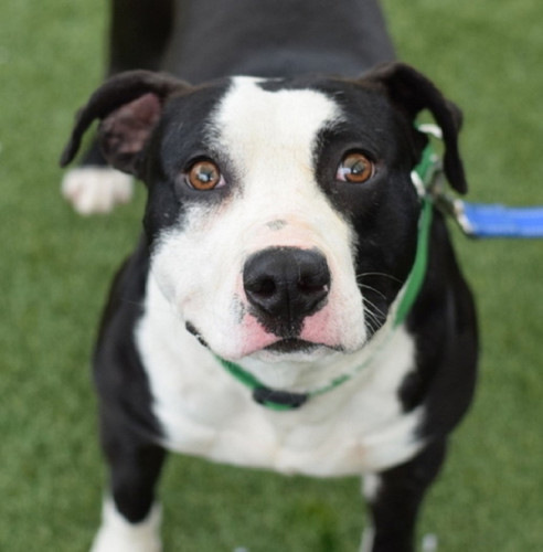 Gs2kvILWMAA MXz?format=jpg.jpg