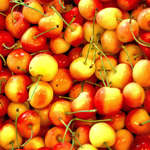National Rainier Cherry Day.jpg