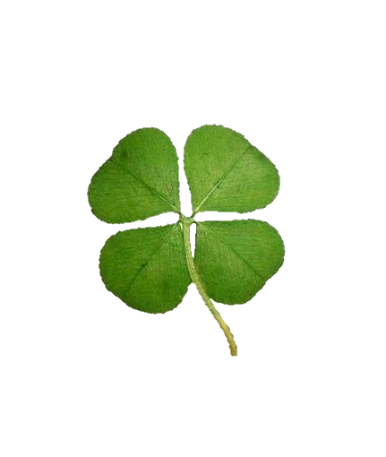 clover.png