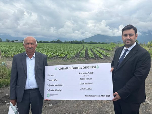 505499080 1116440243850159 4489373131477038158 n.jpg?stp=dst jpg s600x600 tt6& nc cat=106&ccb=1 7& n.jpg