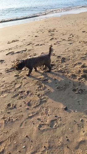 B2uX U24BgJRfuDr.jpg