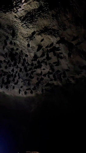 svOfD 9mxU8gm5e2.jpg