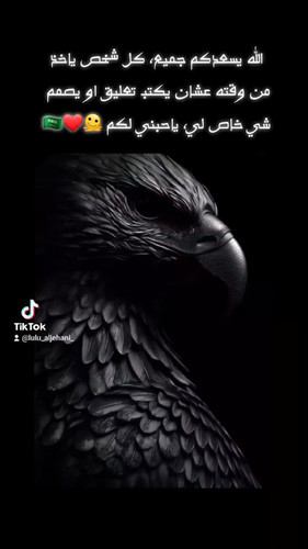 Q9OUi2eK52ME8rFF.jpg