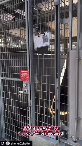 oGOTJPDNtBgSmoB .jpg