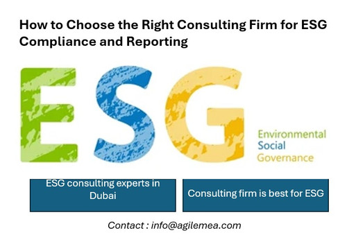 ESG.jpg