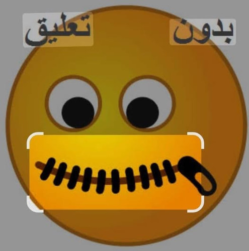 530472450 2842841412770695 7275437922642625901 n.jpg?stp=dst jpg p526x296 tt6& nc cat=106&ccb=1 7& n.jpg